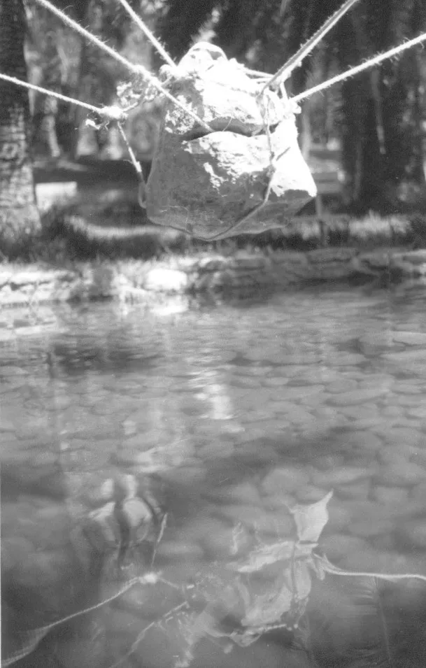 The Flying Stones