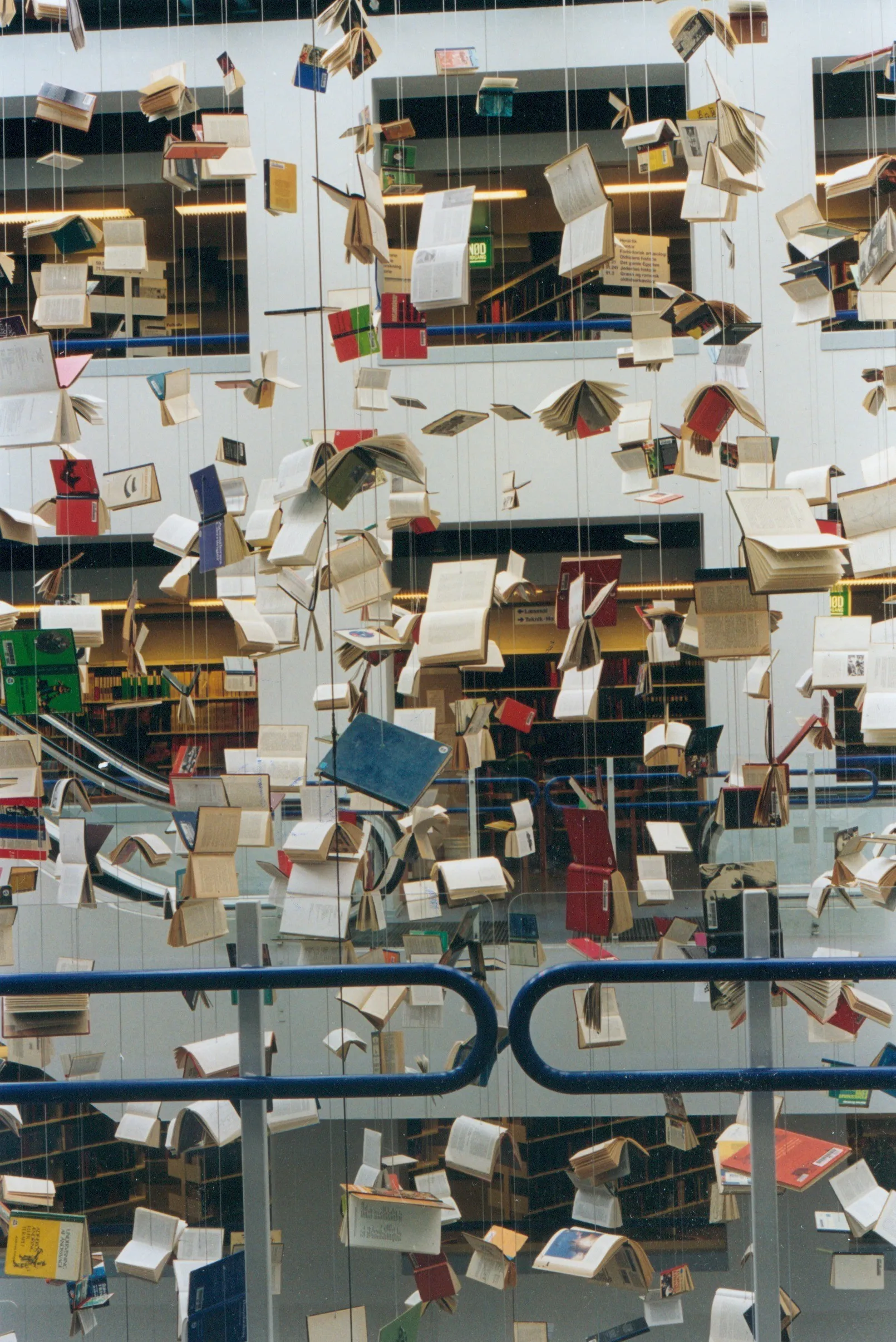 Babel Library VI, Fig. 2