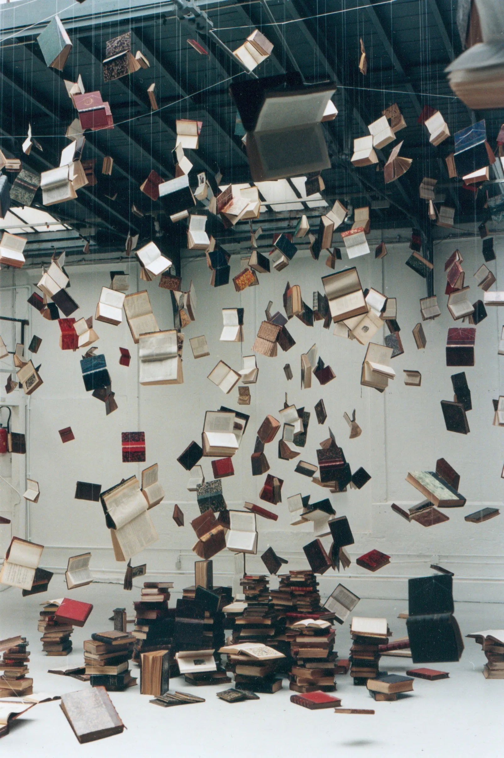 Babel Library I, Fig. 2