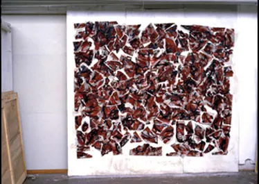 Fragments of frames, Fig. 16